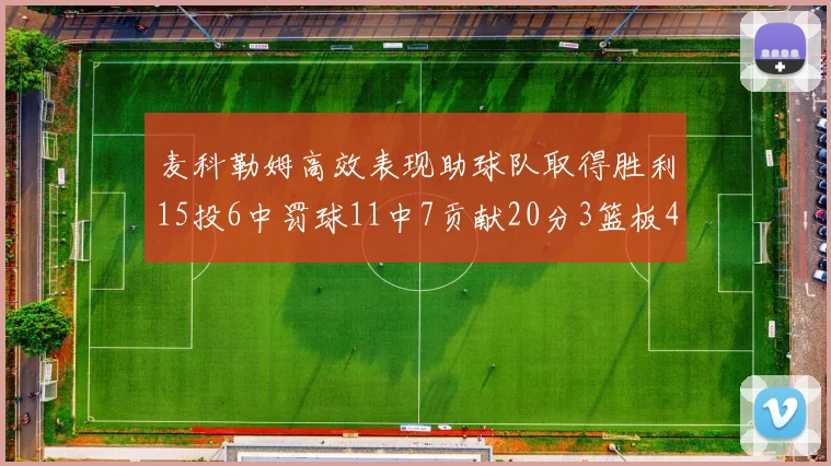 麦科勒姆高效表现助球队取得胜利15投6中罚球11中7贡献20分3篮板4助攻