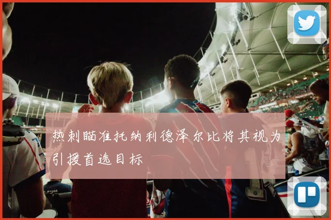 热刺瞄准托纳利德泽尔比将其视为引援首选目标